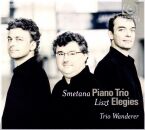 Smetana/Liszt - Piano Trio / Elegies (Trio Wanderer)