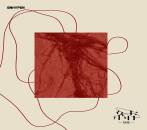 Enhypen - You (LIMITED EDITION B & DVD)