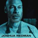 Redman Joshua - Words Fall Short