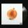 Hard Life - Onion (Lp)