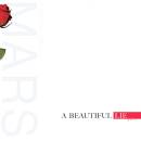 30 Seconds To Mars - A Beautiful Lie (Vinyl)
