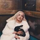 Levels (Diverse Interpreten)