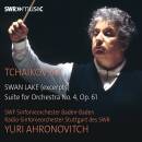 Tschaikowski Pjotr - Swan Lake (SWR SO Baden-Baden / RSO...