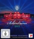 Sokhiev Tugan / WPH - Sommernachtskonzert 2025