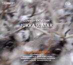 Idenstam Gunnar - Jukkaslatar (Marainen Simon / Sjaggo...