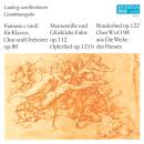 Beethoven Ludwig van - Gesamtausgabe (Kootz Gunter /...