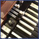 Schneider Tommy - Hidden Port,  The