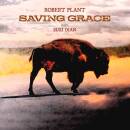 Plant Robert - Saving Grace