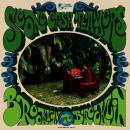 Brooklyn To Brooklyn (Diverse / LP & DL)