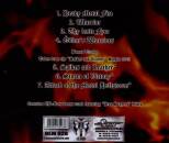 Stormwarrior - HEAVY METAL FIRE