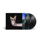 Soulvax - All Systems Are Lying (2 Lp)