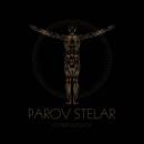 Stelar Parov - Live (At Pukkelpop)