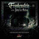 Frankenstein und der Zirkel der Sieben - Frankenstein 11...