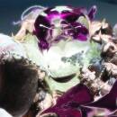 Dragongirl - Hot Blue