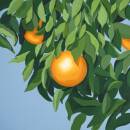 Ballgame Tyler - For The First Time Again