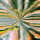 Hoffmann Nils - Everlight