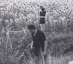 Jesu / Sun Kill Moon - Jesu / Sun Kil Moon