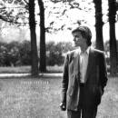 Sylvian David - Brilliant Trees