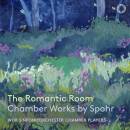 WDR Symphony Orchestra - The Romantic Room: Chamber Works