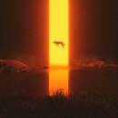 Gaerea - Loss (black LP)