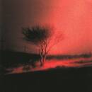 Joji - Piss In The Wind