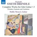 Meucci Duilio - Complete Works for Solo Guitar: Vol.3