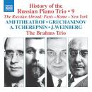Brahms Trio, The - History of the Russian Piano: Vol.9:...
