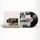 Regan Fionn - O Avalanche