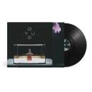 Raphael Felix - Do You