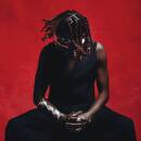 Veeko - House Of Birds