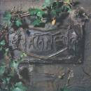 Damned,The - The Black Album (White Vinyl)