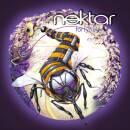 Nektar - Fortyfied