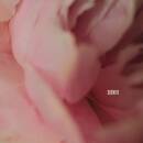 Capaldi,Lewis - Survive (#1)