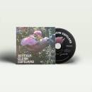 Glenn-Copeland Beverly - Laughter In Summer