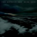 Gustavsen Tord - Being There