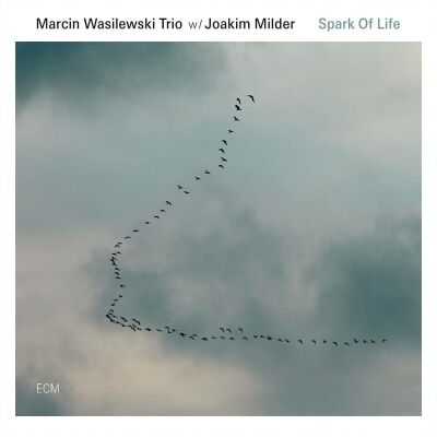 Wasilewski Marcin - Spark Of Life