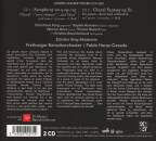 Beethoven Ludwig Van - Symphony No. 9 / Choral Fantasy In C Minor (Heras / Casado Pablo)