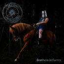 Steve N Seagulls - Brothers In Farms