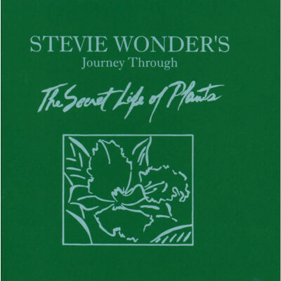 Wonder Stevie - Secret Life Of Plants