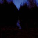 Opeth - MY ARMS ARE YOUR HEARSE