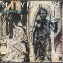 Gaye Marvin - Here,My Dear