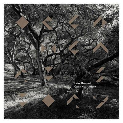 Howard Luke - Open Heart Story
