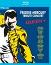 Queen - Freddie Mercury Tribute Concert, The (Bluray /...