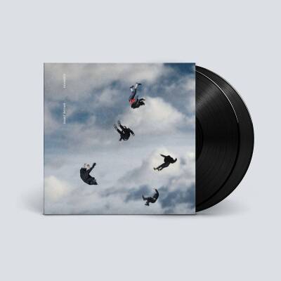 Giant Rooks - Rookery (2LP)