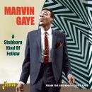 Gaye Marvin - A Stubborn Kind Of Fellow
