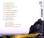 Voulzy Laurent - CACHE DERRIERE