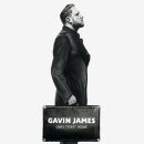 James Gavin - Only Ticket Home