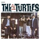 Turtles - It Aint Me Babe