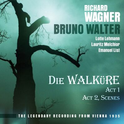Wagner Richard - Die Walkure