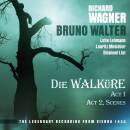 Wagner Richard - DIE WALKURE ACT 1